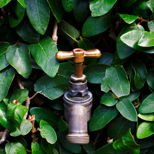 Світ кераміки